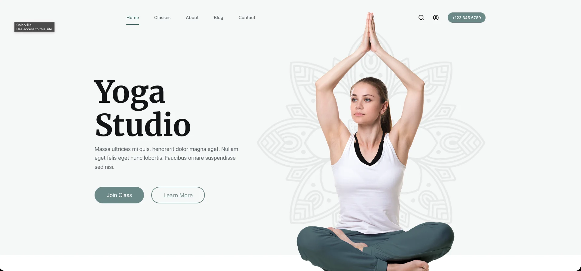 yoga demo.webp